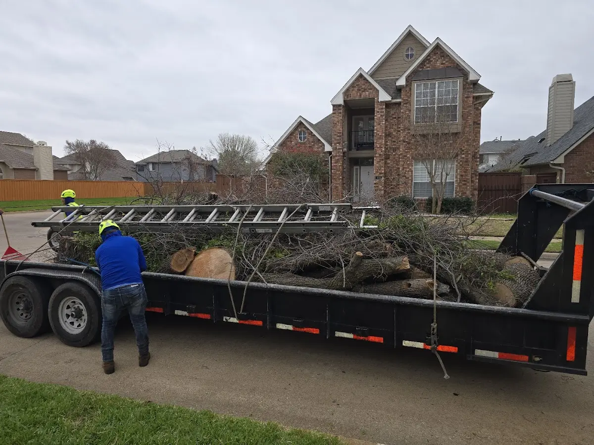 Expert Tree Removal with proper safety equipment in Lehighton